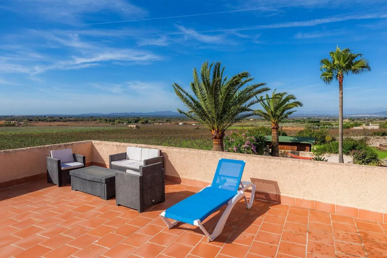 Son Cifre Villa Felanitx