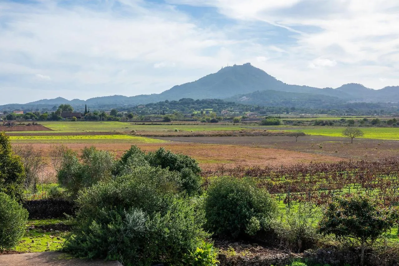Holiday home Son Cifre Villa Felanitx
