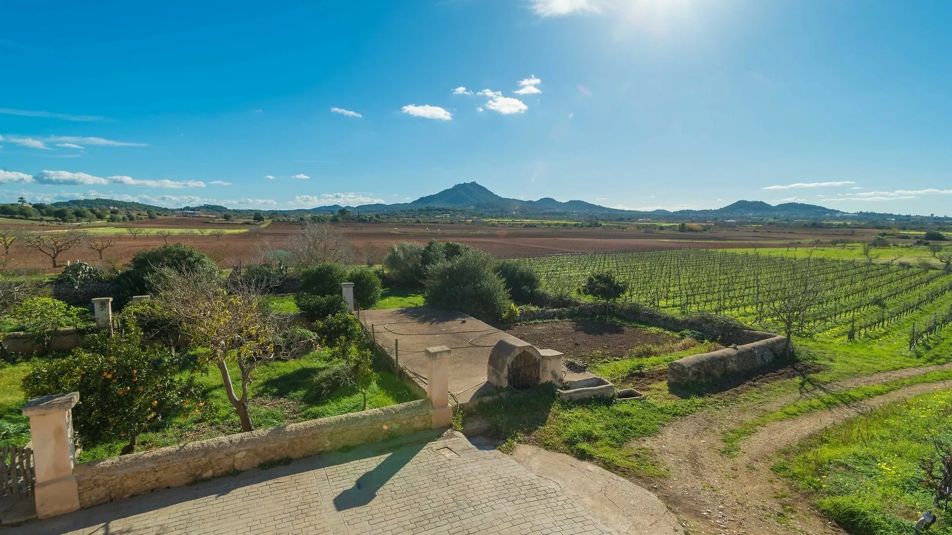 Son Cifre Villa Felanitx