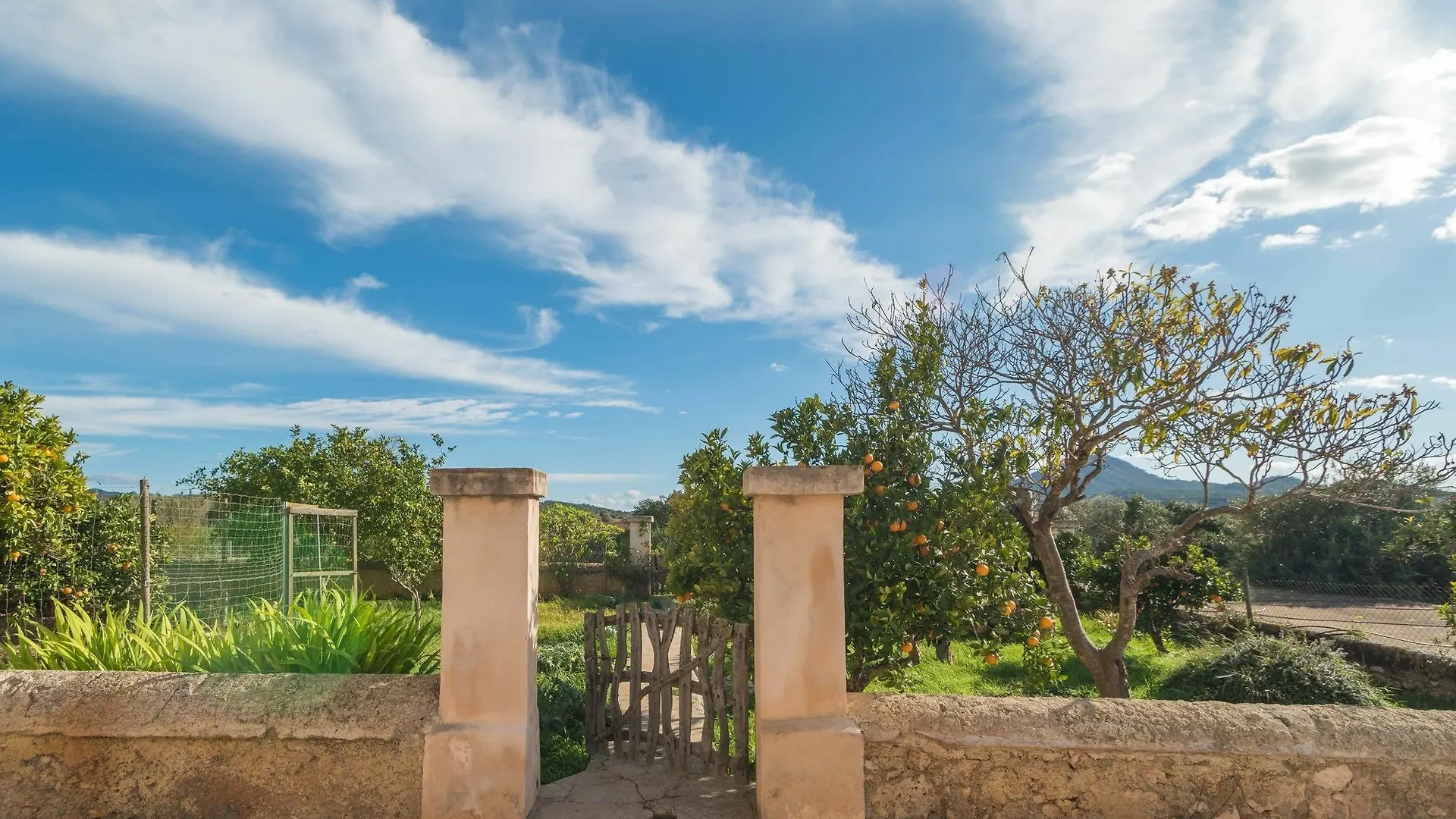 Son Cifre Villa Felanitx